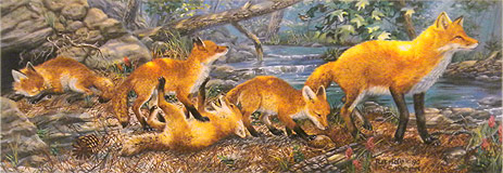 "Rough and Ready" - Red Foxes by wildlife artist Randy McGovern