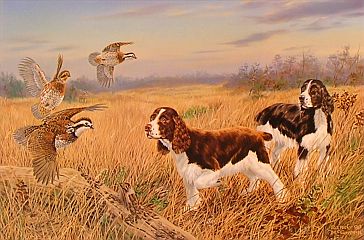 "Royal Flush" - Springer Spaniels by artist Randy McGovern