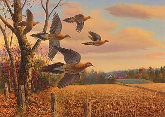 "Safe Passing" - Mourning Doves by wildlife artist Randy McGovern