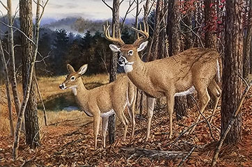 "Secret Pond" by wildlife artist Randy McGovern