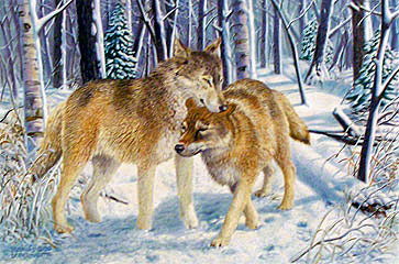 "Snugglers" - Timber Wolves by wildlife artist Randy McGovern