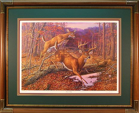"Speed Bump" - Whitetail Deer print by wildlife artist Randy McGovern