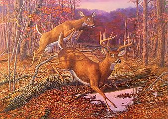 "Speed Bump" by wildlife artist Randy McGovern