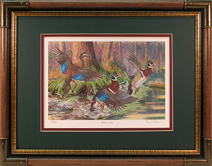 "Splash of Color" - Wood Ducks by Randy McGovern