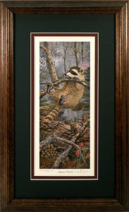 "Spring Clinging" - Raccoon by wildlife artist Randy McGovern