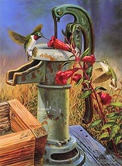 "Sugar Spout" Hummingbirds by artist Randy McGovern