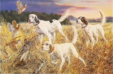 "Surprise Party" - English Setter by artist Randy McGovern