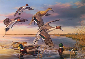 "There Goes The Neighborhood" - Pintail and Mallards by artist Randy McGovern