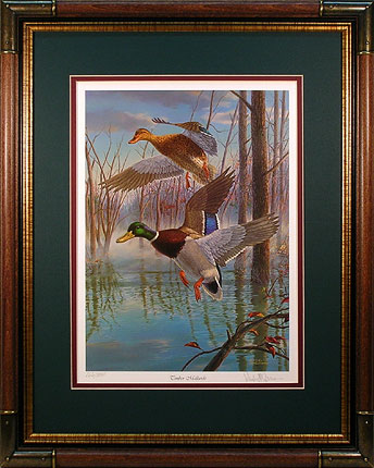 "Timber Mallards" - Waterfowl Art print by wildlife artist Randy McGovern