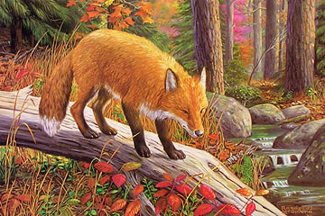 "Vantage Point" - Red Fox by wildlife artist Randy McGovern