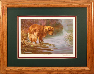 "Where's That Ball?" - Golden Retriever by artist Randy McGovern