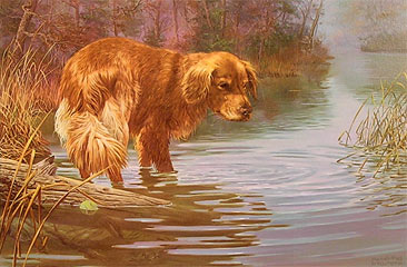 "Where's That Ball?" - Golden Retriever by artist Randy McGovern