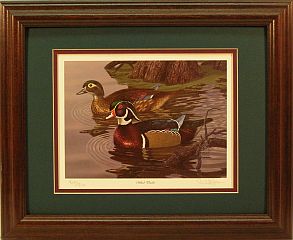 "Wood Ducks" - Waterfowl Series by wildlife artist Randy McGovern