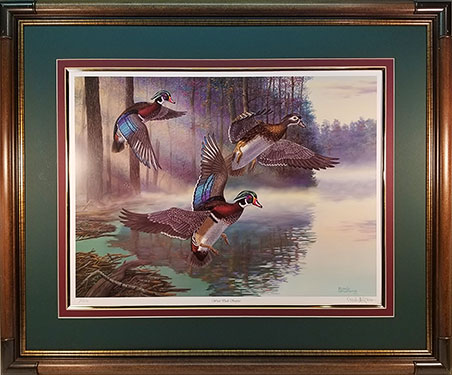 "Wood Duck Surprise" - Wood Ducks by wildlife artist Randy McGovern