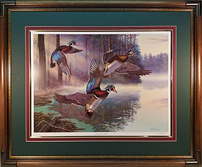 "Fly By" - Wood Ducks by artist Randy McGovern