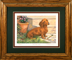 "You Don't Say?" - Red Dachshund by wildlife artist Randy McGovern