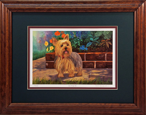 "Can I Come Too" - Yorkie Print by artist Randy McGovern