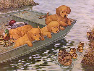 "Coming And Going" - Golden Retrievers by McGovern