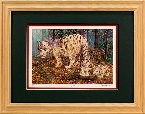 "Cubby Hole" - White Tiger print by wildlife artist Randy McGovern