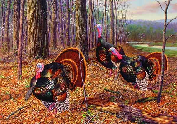 Riding The Coattails - Wild Turkeys by Randy McGovern