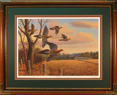 "Safe Passing" - Mourning Dove print by wildlife artist Randy McGovern